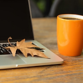 Bailey Virtual Business Management in Novi, MI (4)