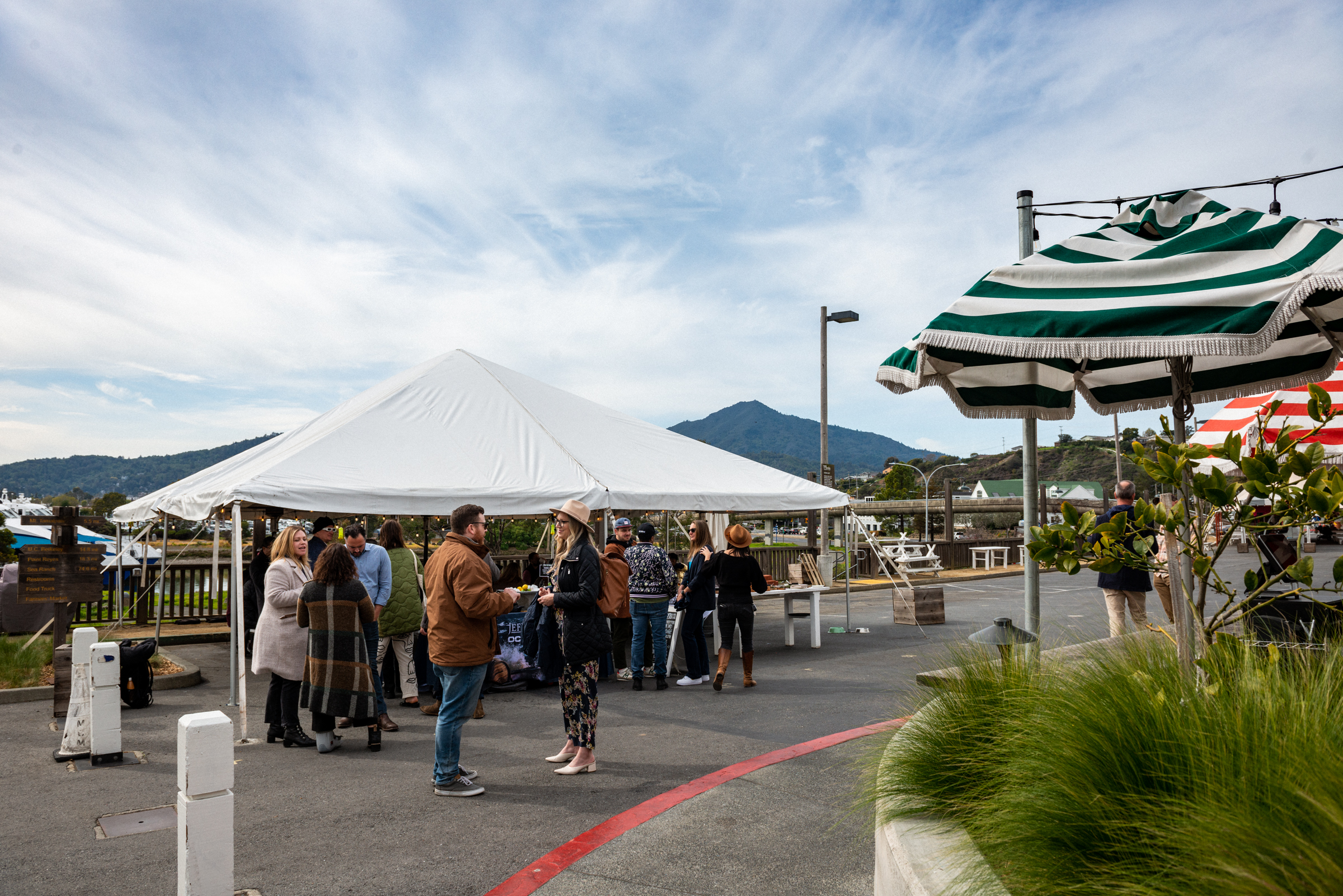 Hog Island Larkspur in Larkspur, CA (2)