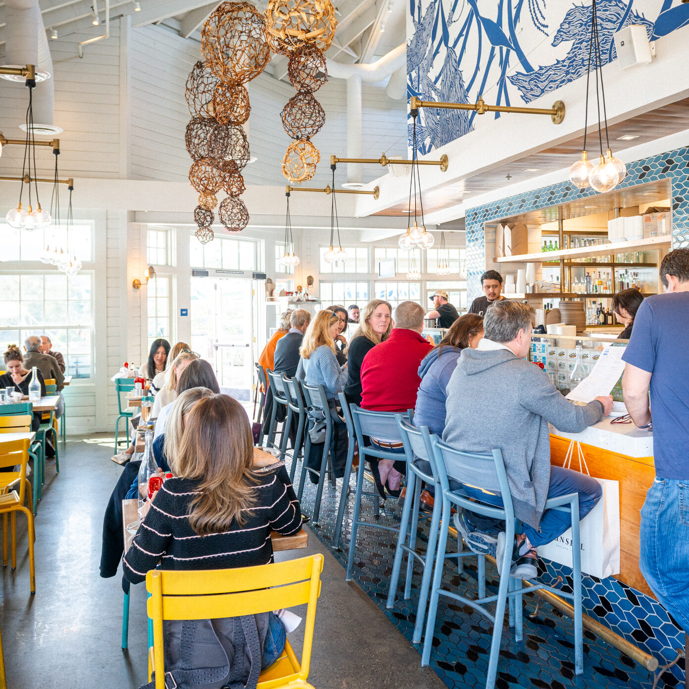 Hog Island Larkspur in Larkspur, CA (5)
