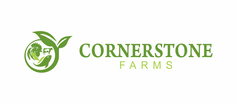 Damety Consulting LLC in Westerville, OH