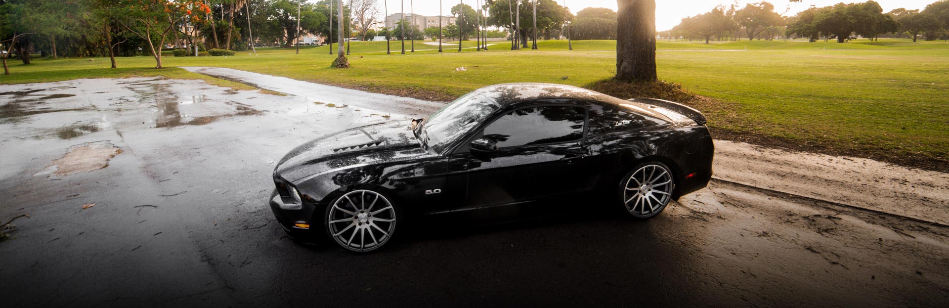 Import Auto Specialists in San Diego, CA (2)