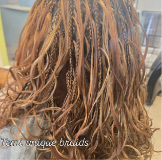 Temi Unique Braids in Laurel, MD (4)