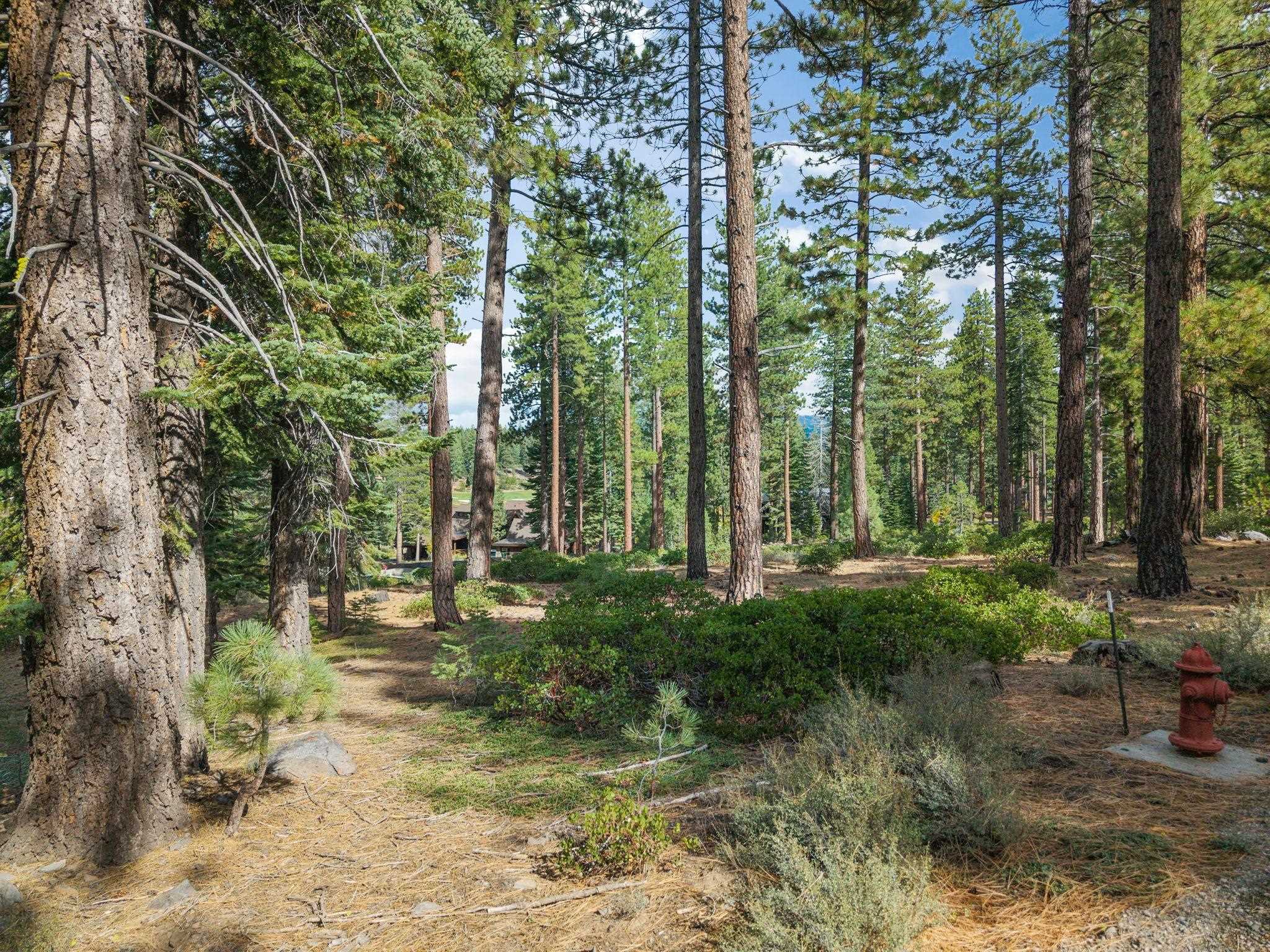 Livin the Tahoe Dream in South Lake Tahoe, CA (2)