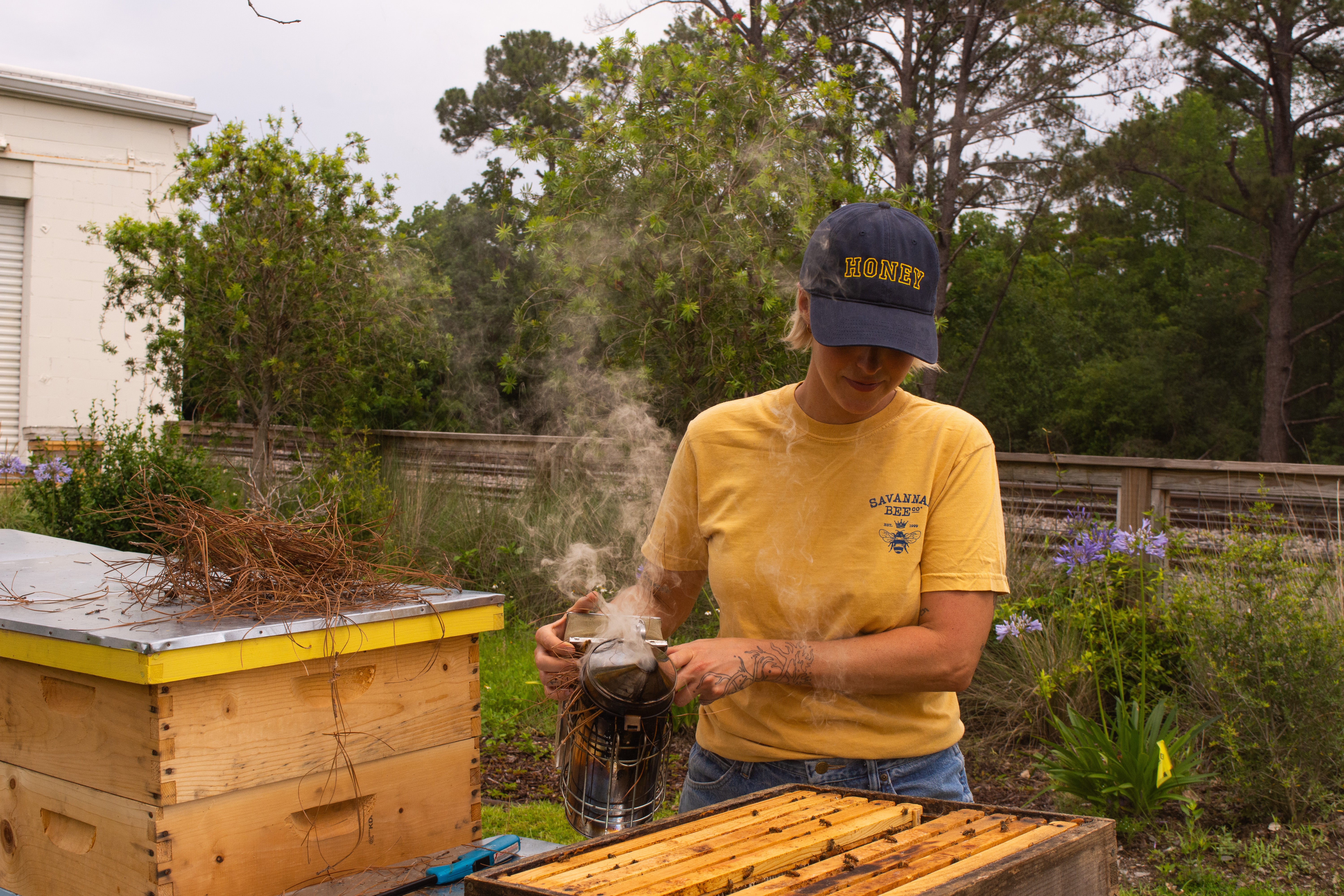 Savannah Bee Company in North Myrtle Beach, SC