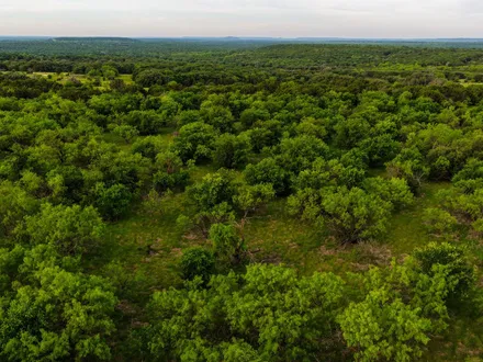 Campbell Farm & Ranch in Graham, TX (2)