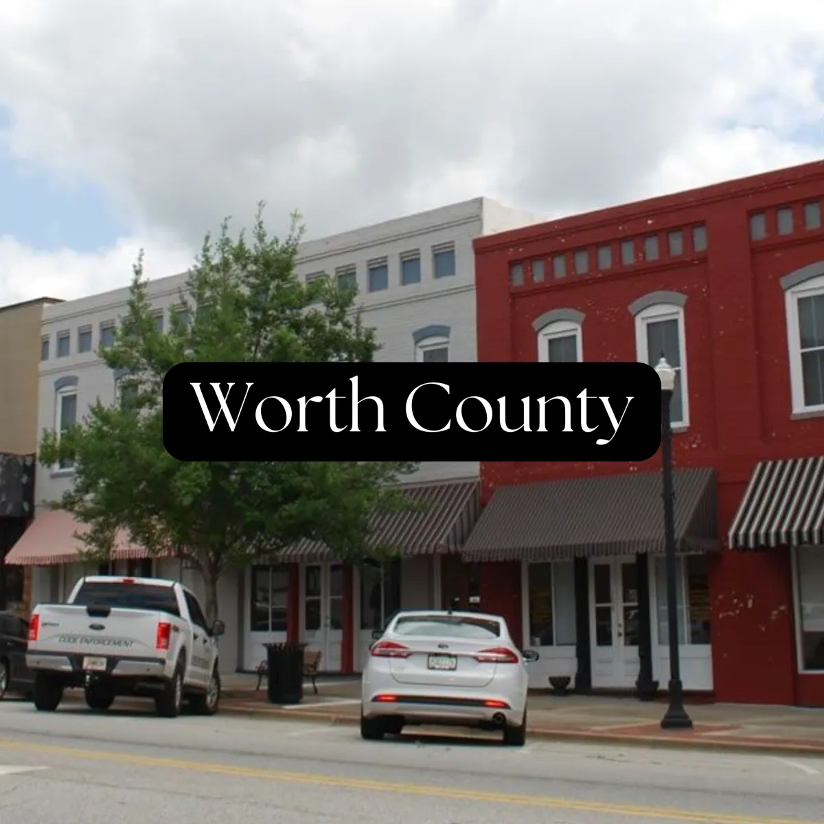 Lindy Dorminy Bengston, Realtor in Tifton, GA (5)
