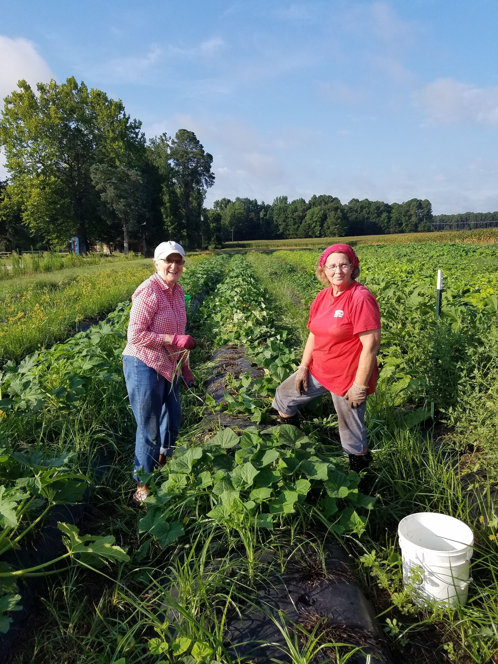 Southside Farms in Chocowinity, NC (2)