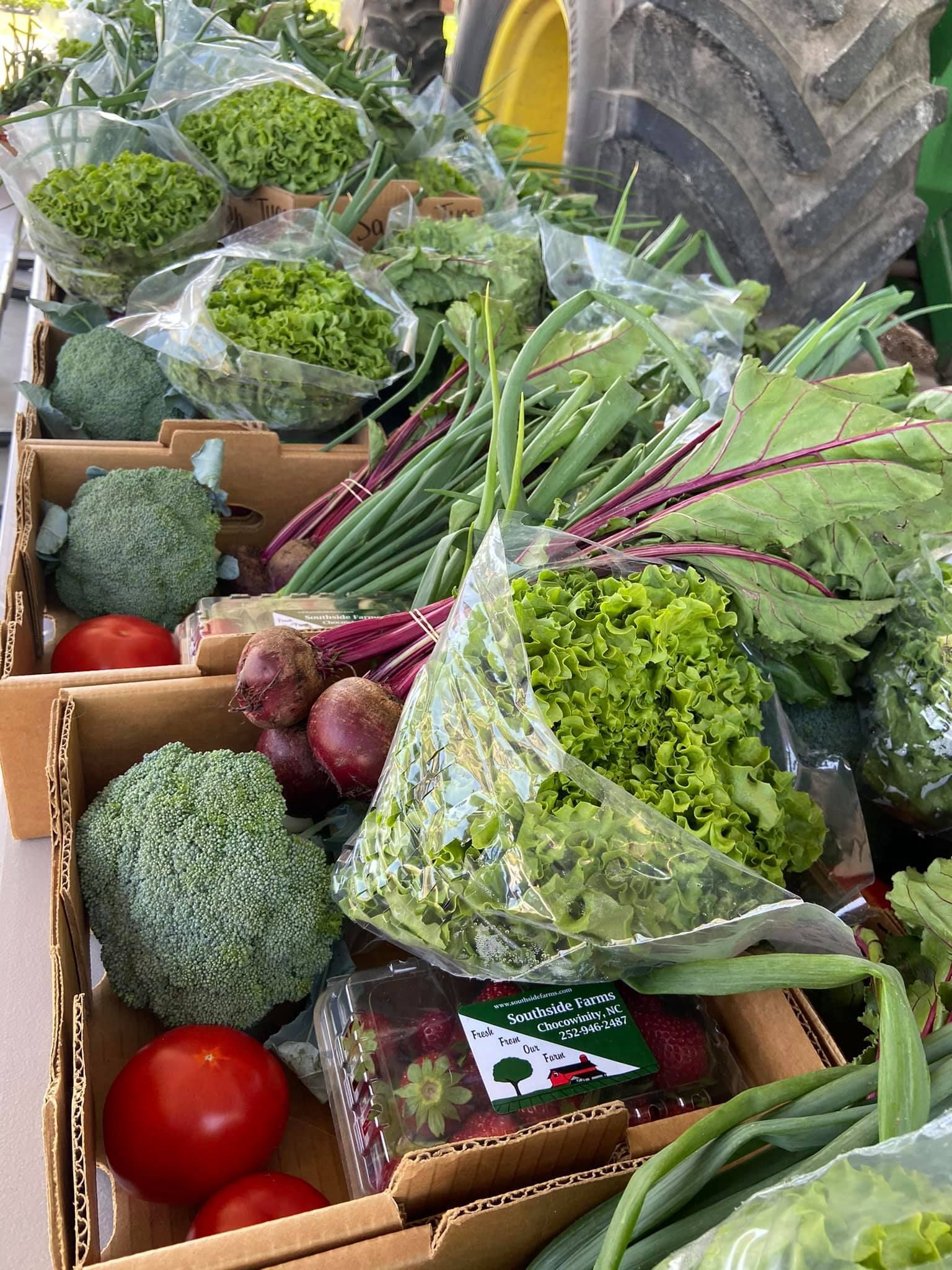Southside Farms in Chocowinity, NC (4)