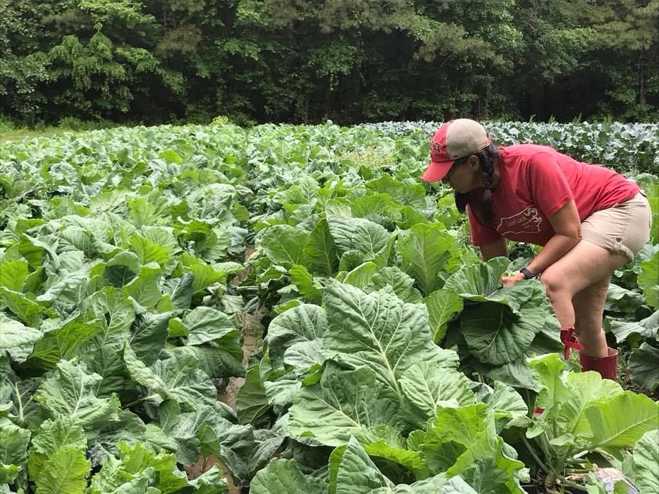 Southside Farms in Chocowinity, NC (6)