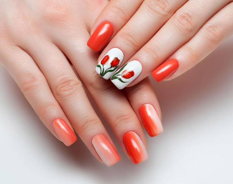 NAILOLOGY in Houston, TX