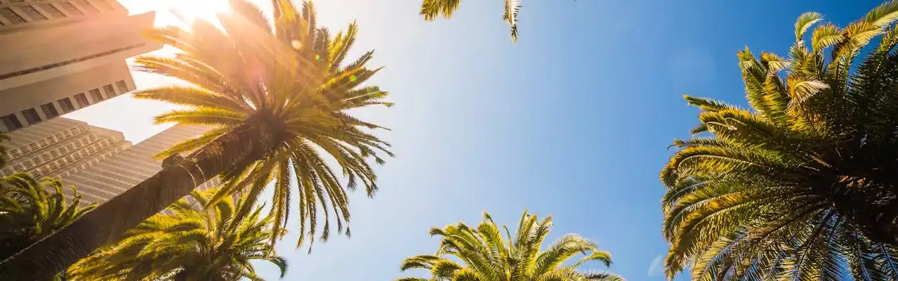 Friendly Offer by Balsamo Homes in Agoura Hills, CA (4)