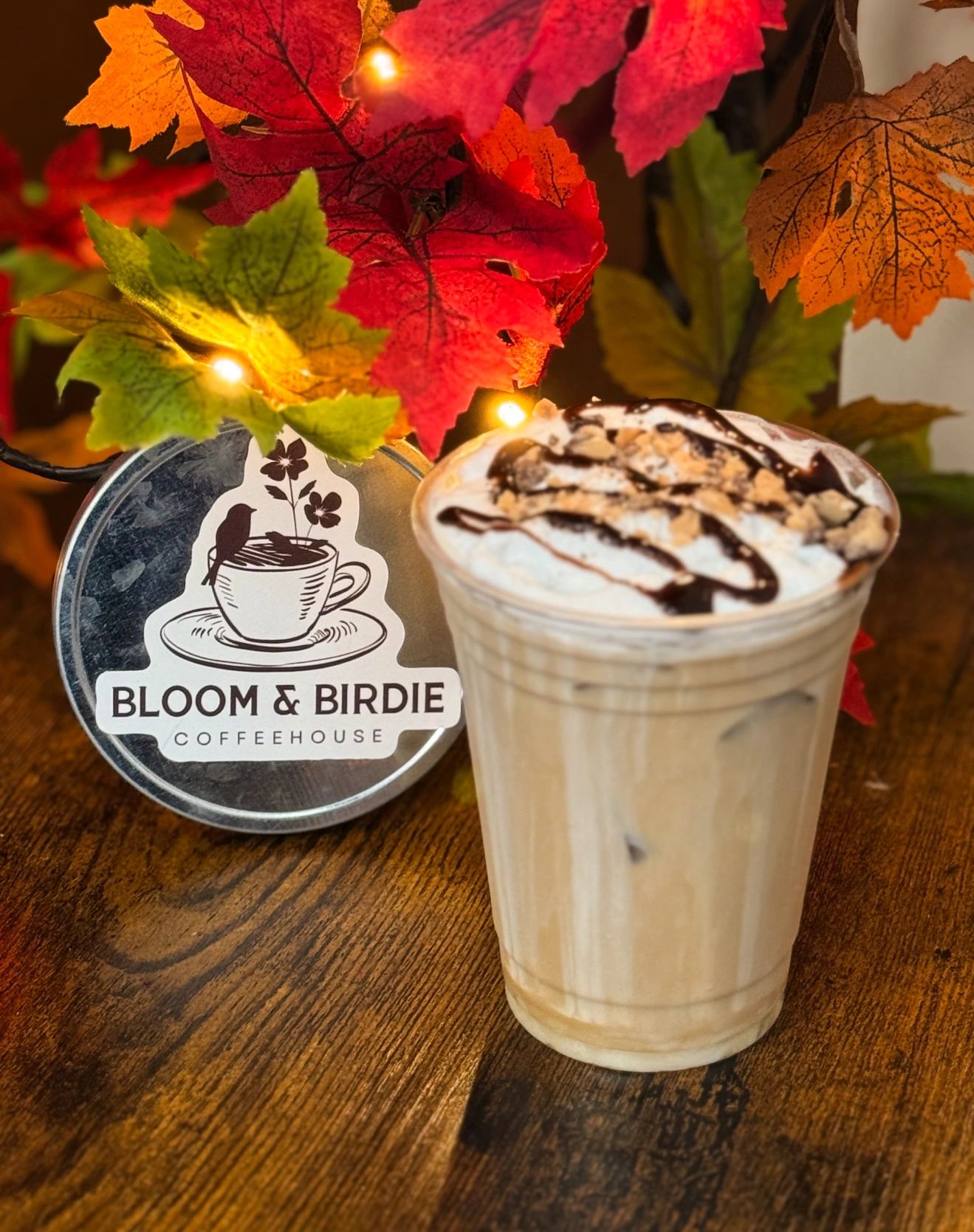 Bloom & Birdie Coffeehouse in Rockville, IN