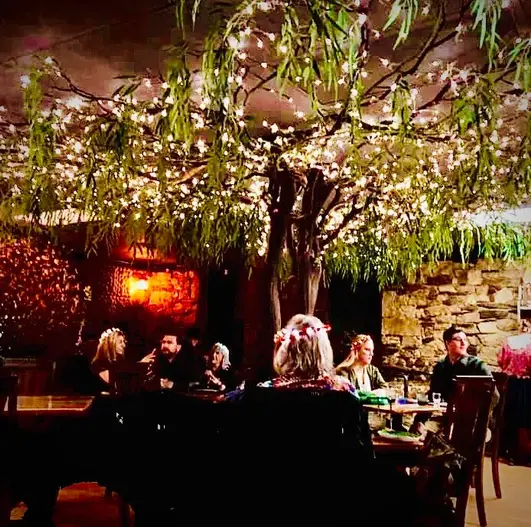 Enchanted Forest Dining Experience in Placerville, CA (3)