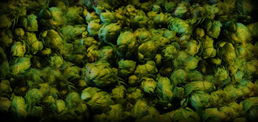 TRUSS Brewing Company in Pleasant Hills, PA (4)