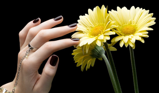 TL NAILS 2 in Grovetown, GA (5)