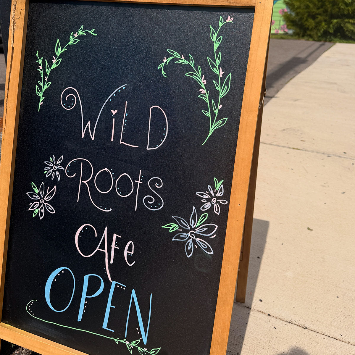 Wild Roots Cafe & Co. in Romney, WV (5)