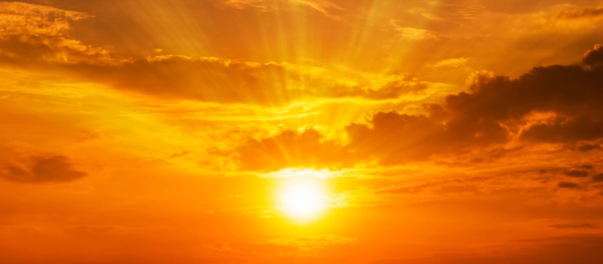 Amanecer Taxes & Accounting in West New York, NJ