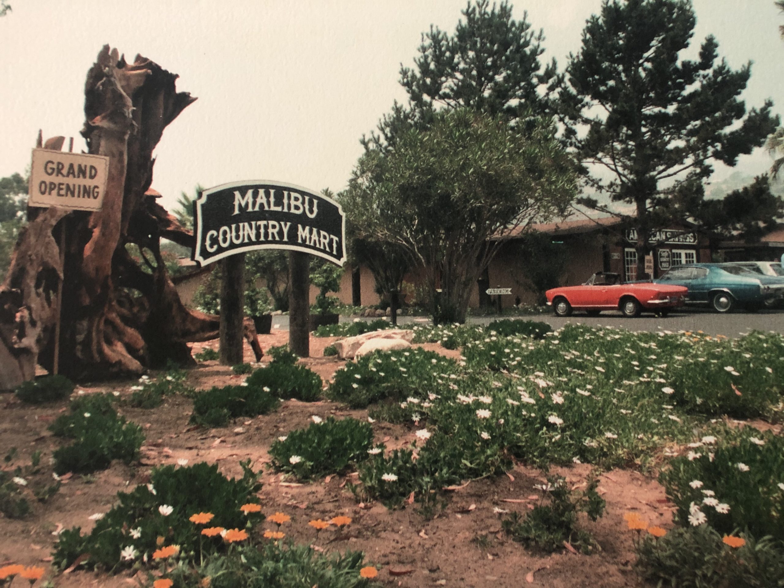 Malibu Country Mart in Malibu, CA (4)