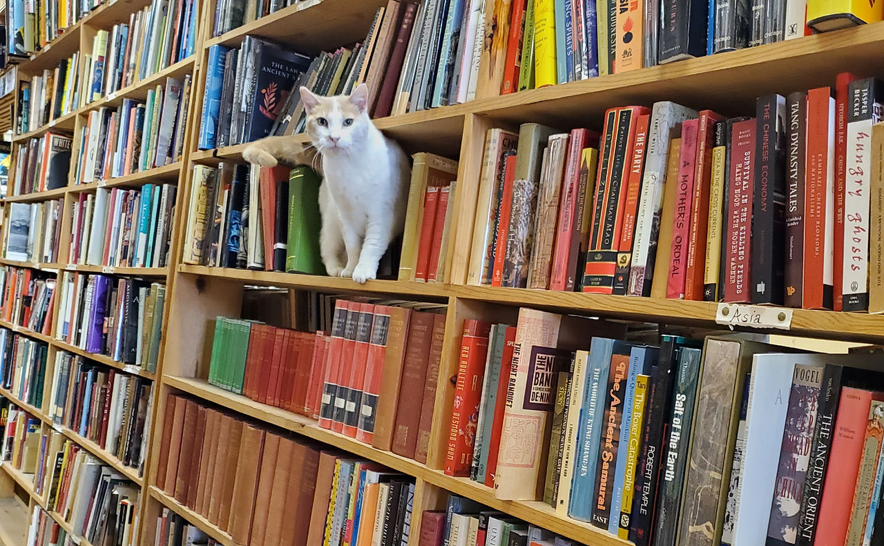 Maxwell's House of Books in La Mesa, CA