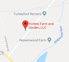 Yorlets Farm and Garden, LLC in Dillsburg, PA (2)