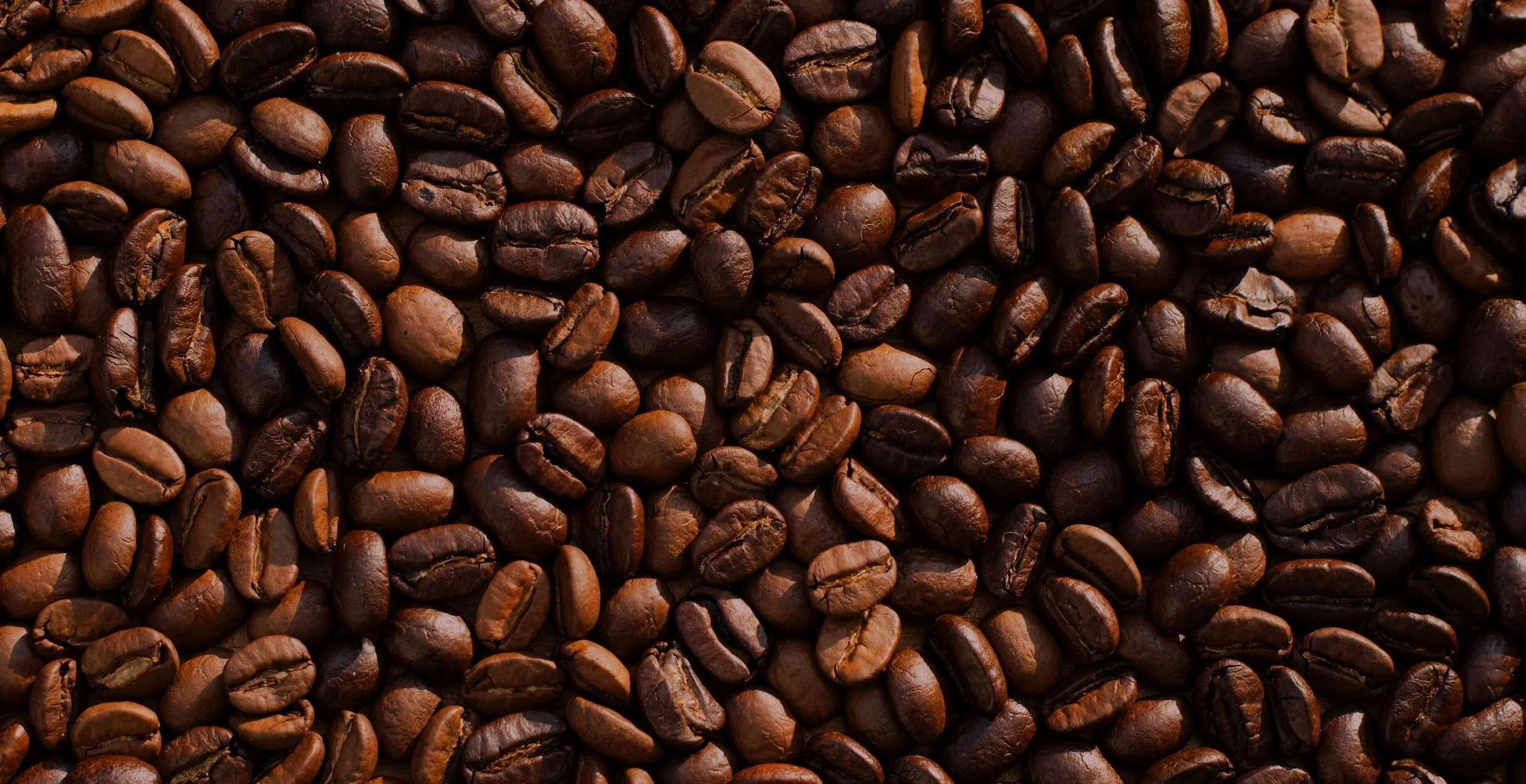 Daily Brew Co. in Westby, WI