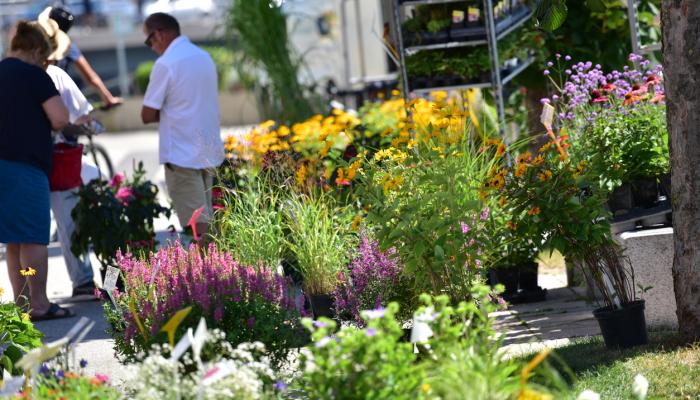 Ladera Ranch Farmers Market in Ladera Ranch, CA (4)