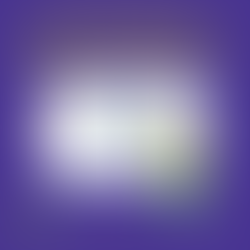 Harford Digital Marketing Solutions in Havre De Grace, MD (5)