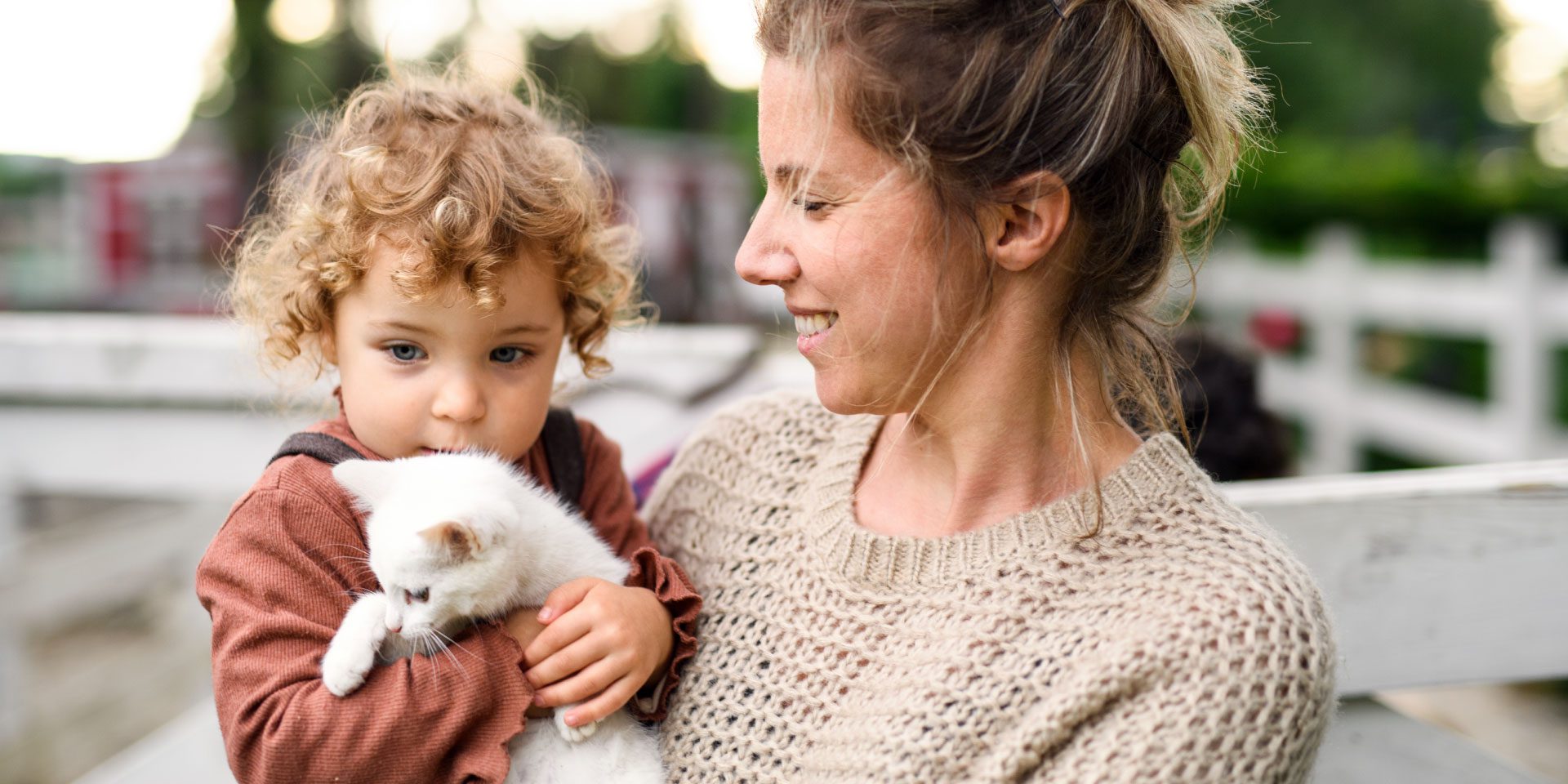Women's Divorce & Family Law Group by Haid & Teich in Lisle, IL