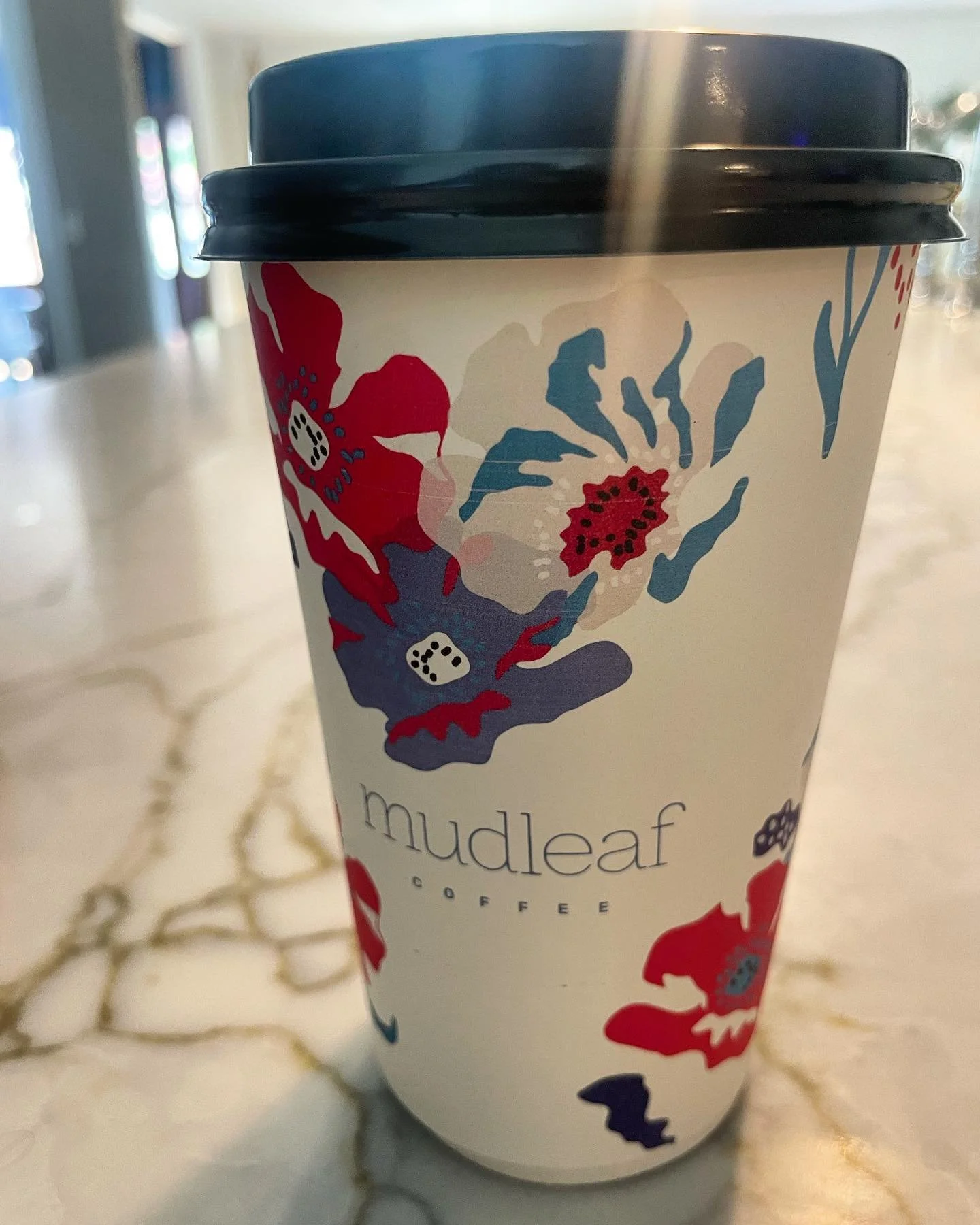 Mudleaf Coffee in Plano, TX (5)