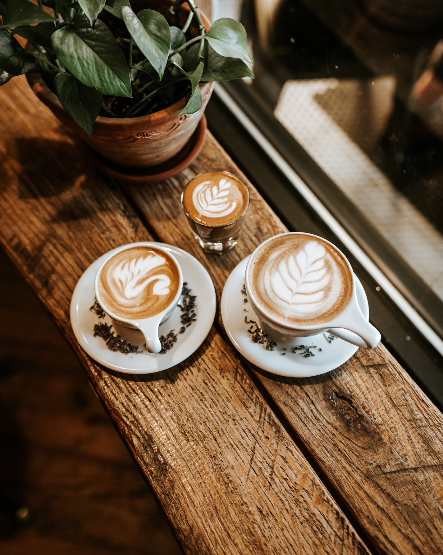 West Oak Coffee Bar in Denton, TX (4)