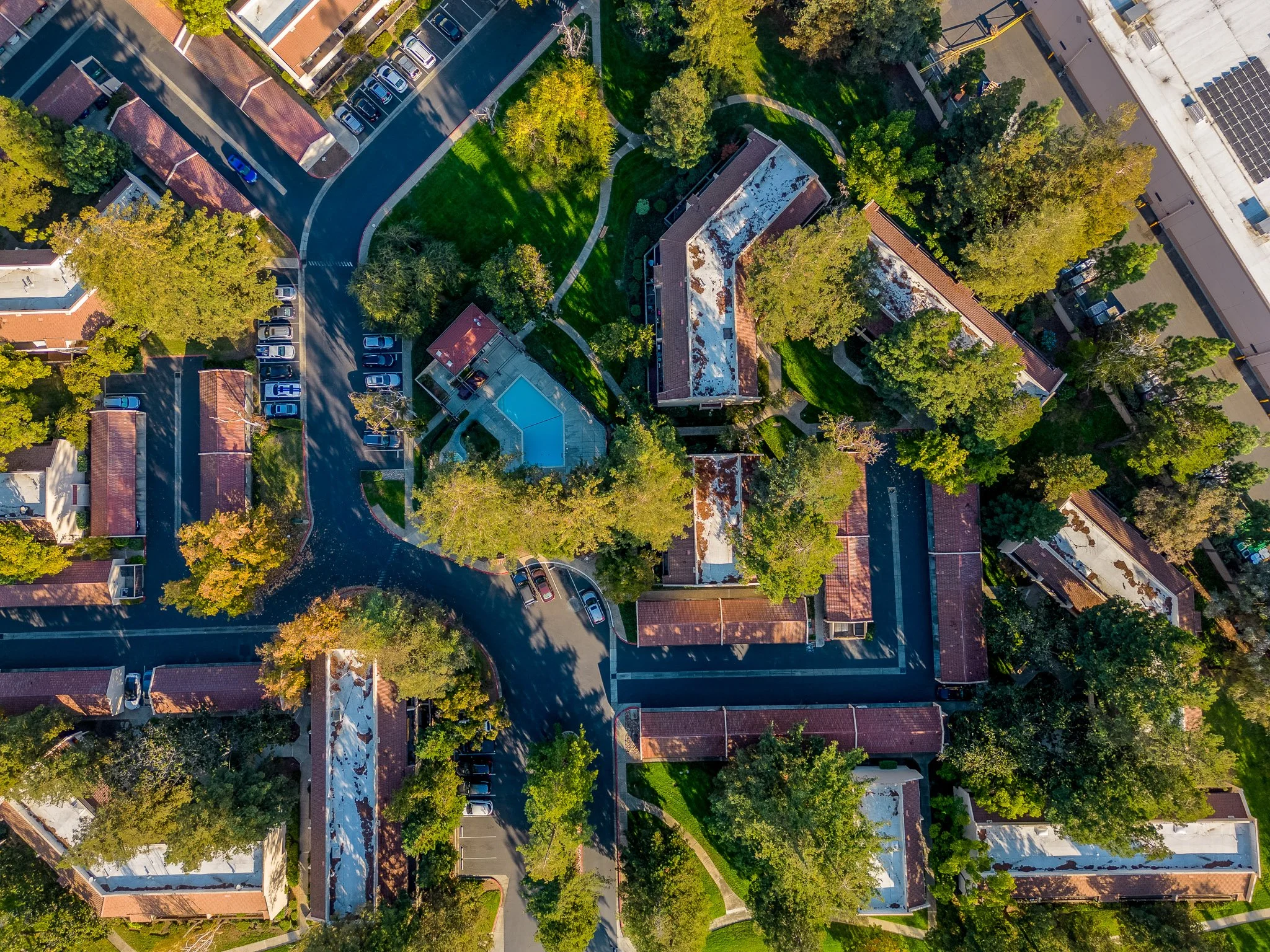Alex Wang - Real Estate Agent in Los Altos, CA