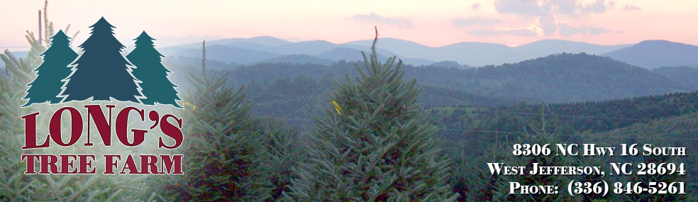 Long's Choose and Cut Tree Farm in West Jefferson, NC