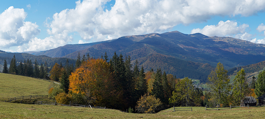 Robin's Nest Realty LLC in Glade Spring, VA (3)