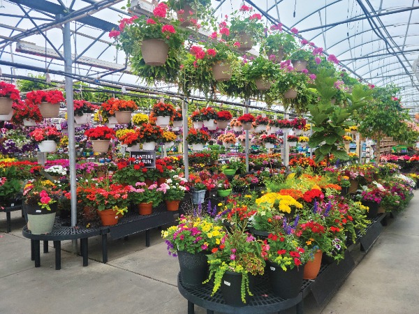 Stauffers of Kissel Hill Fresh Foods and Home & Garden Store in Lititz, PA (3)