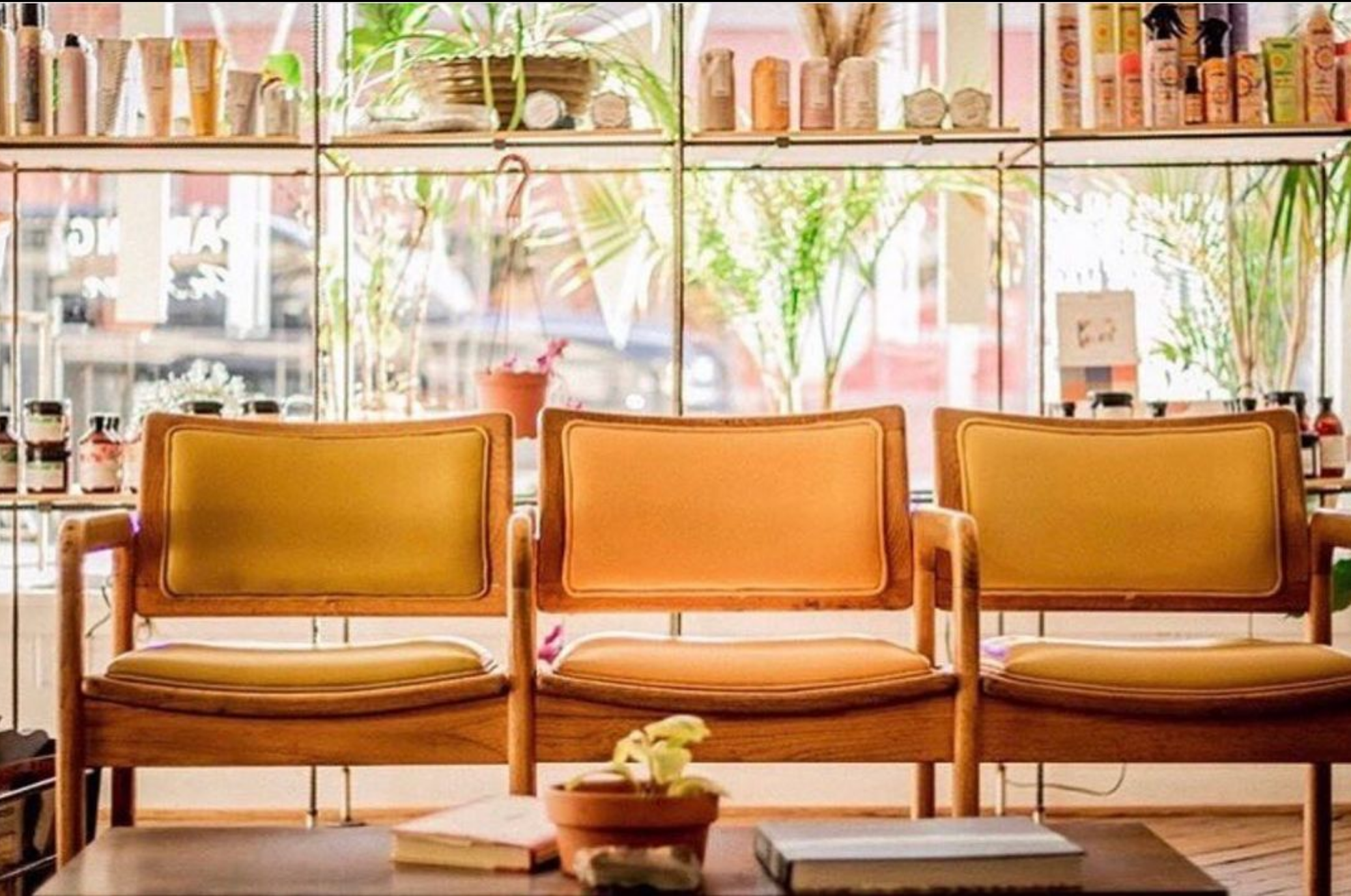 Ivy salon and gallery in Hamilton, OH