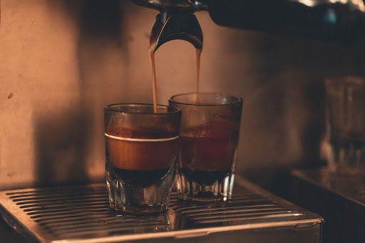 Taylor Lane Organic Coffee in Sebastopol, CA (6)