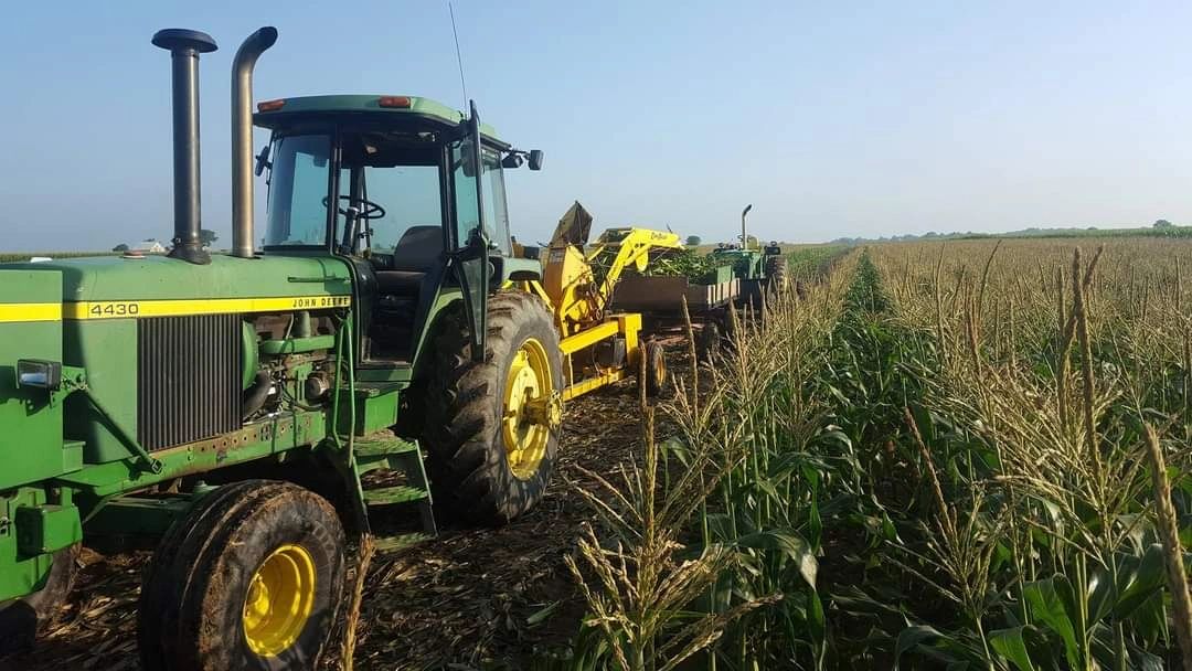 Souder Farms Sweet Corn LLC in Rushville, IN
