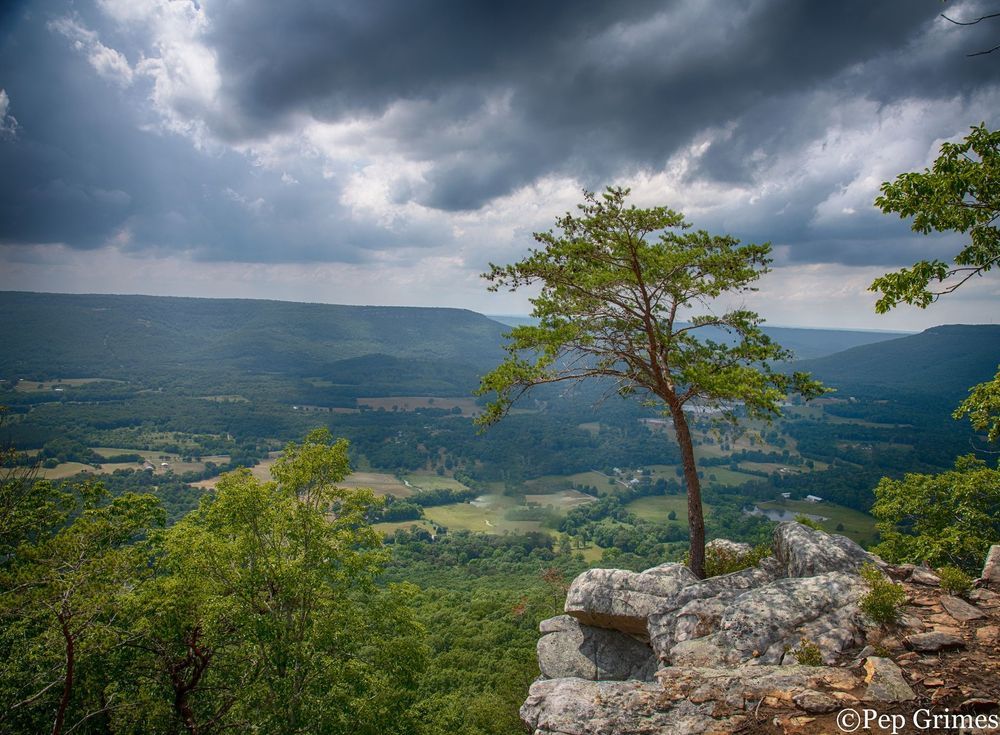 Lookout Mountain Real Estate in Menlo, GA (3)