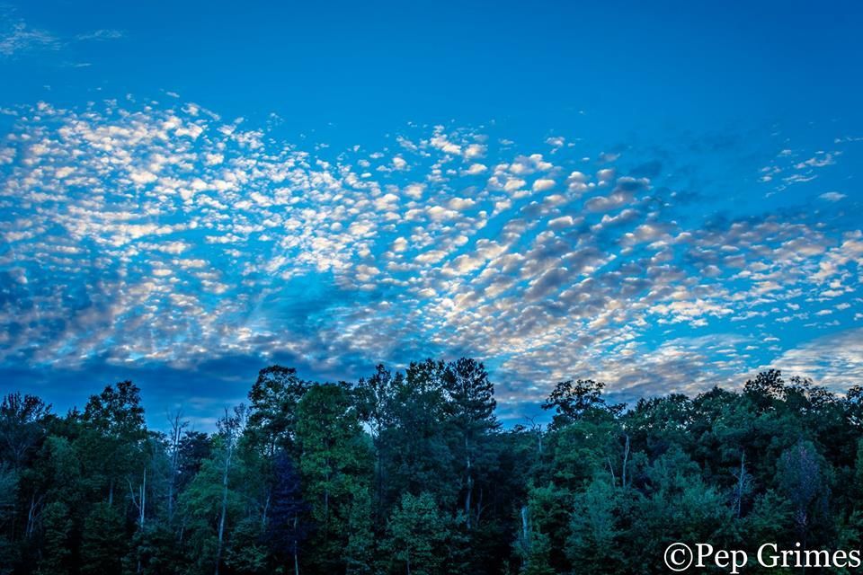 Lookout Mountain Real Estate in Menlo, GA (6)