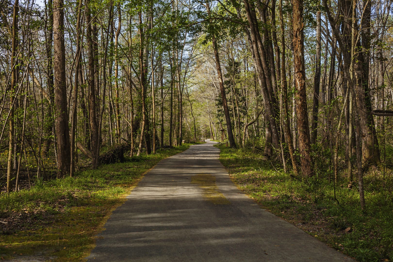 Colleton Realty, LLC in Walterboro, SC (3)