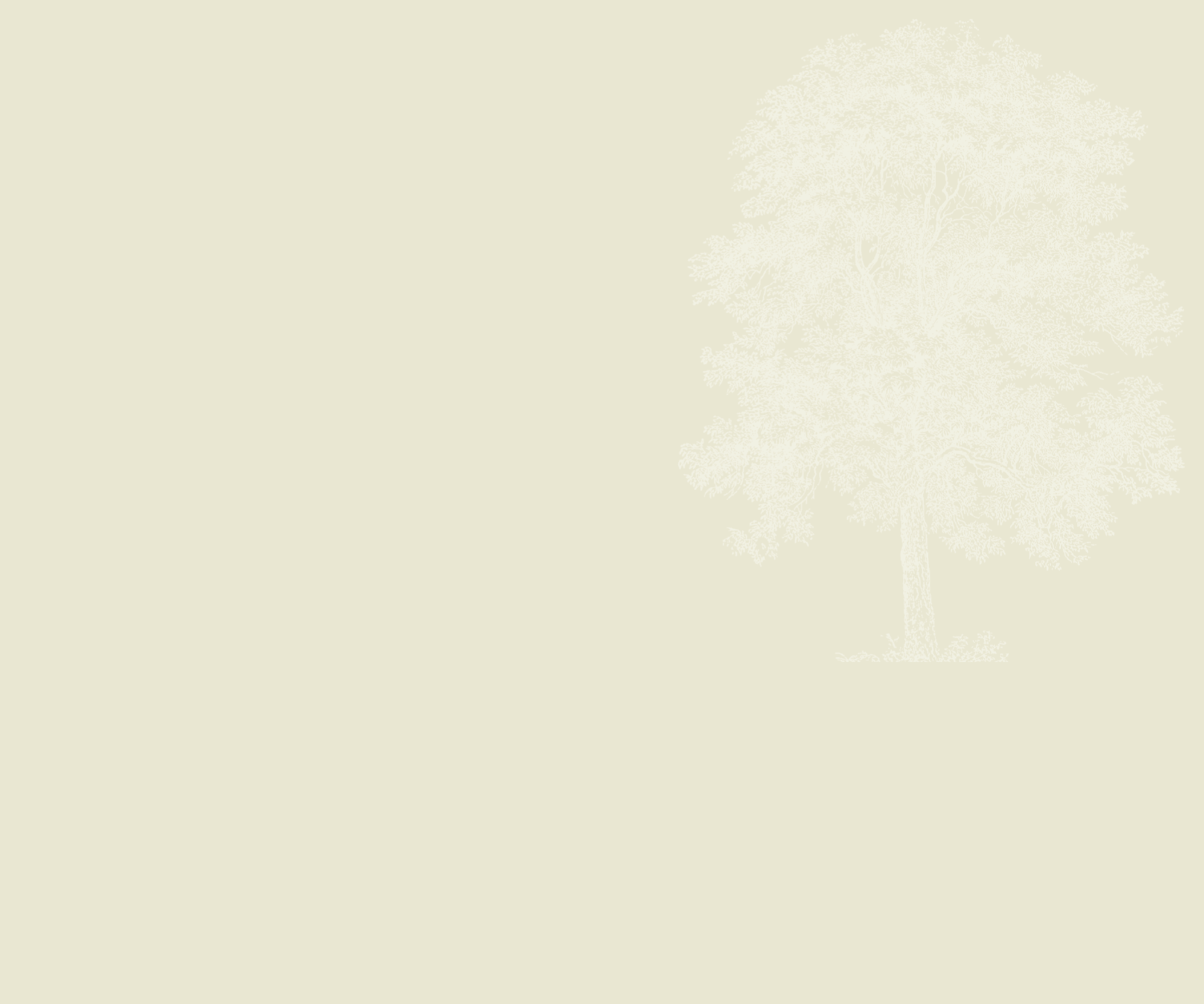 Pecan Square By Hillwood Communities in Northlake, TX