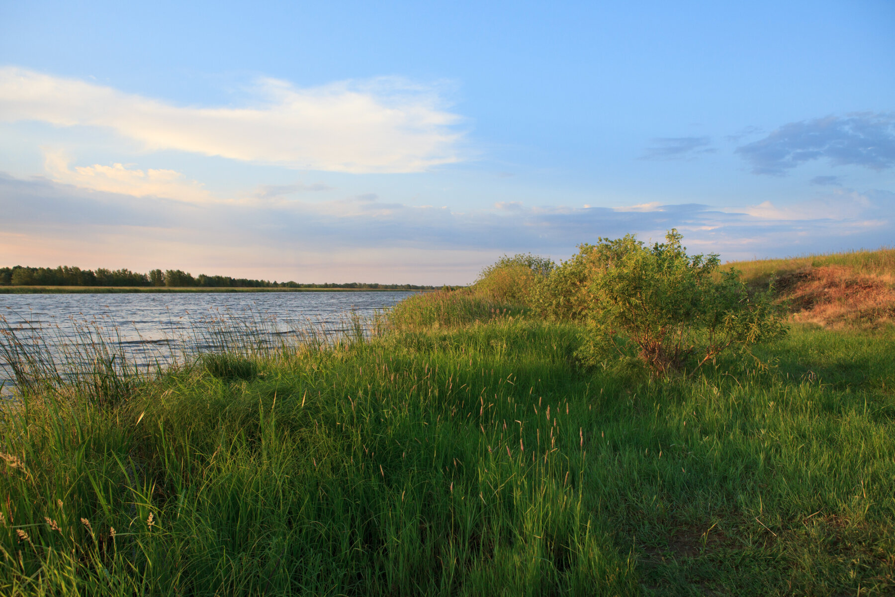HIT Property Group in Aripeka, FL (3)
