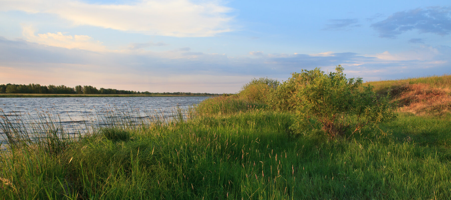 HIT Property Group in Aripeka, FL (4)