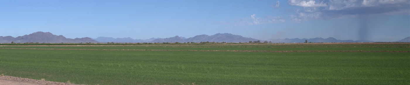 Palo Verde Irrigation District in Blythe, CA (4)