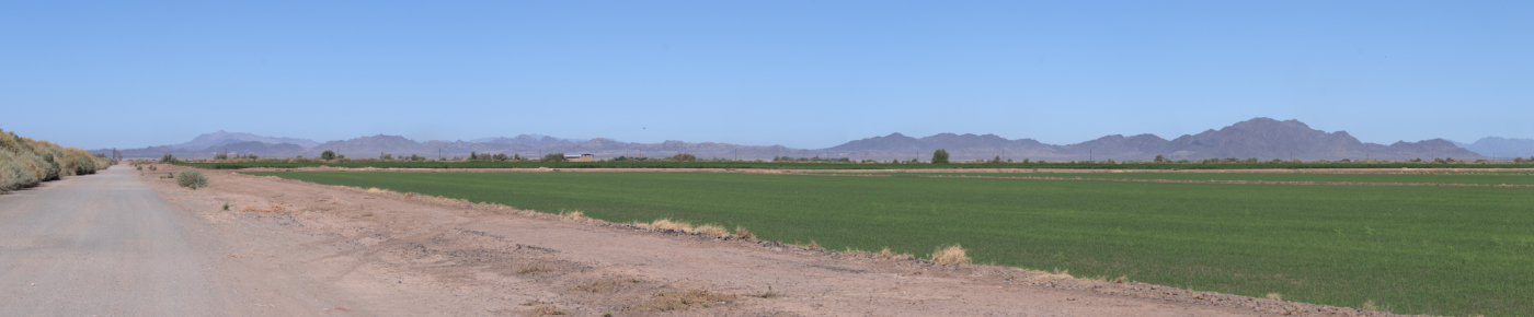 Palo Verde Irrigation District in Blythe, CA (5)