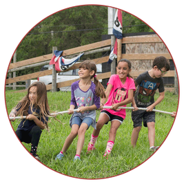 Marando Farms & Ranch in Davie, FL (4)