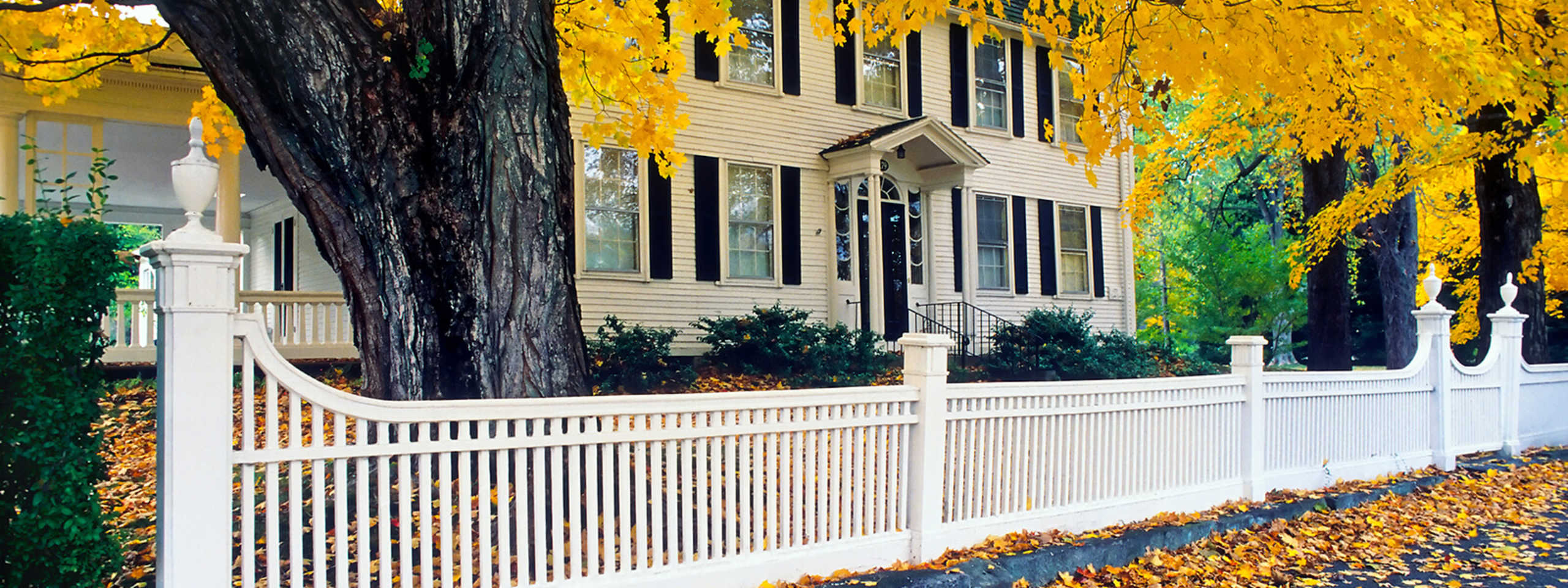 Nareema Baksh Real Estate in Bronx, NY