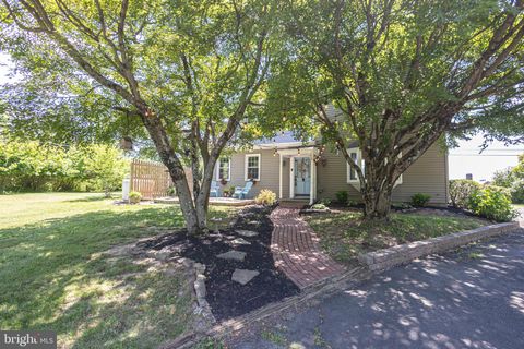 Chris Jasinski Realtor in Hatfield, PA (3)