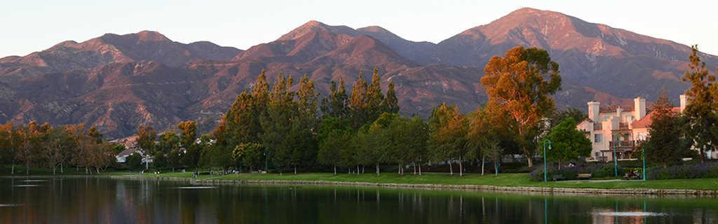 Cangelosi & Holmes Inc: Certified Public Accountants in Tustin, CA