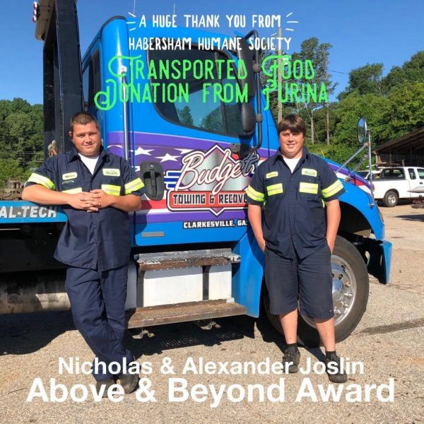 Budget Towing and Recovery in Clarkesville, GA (6)